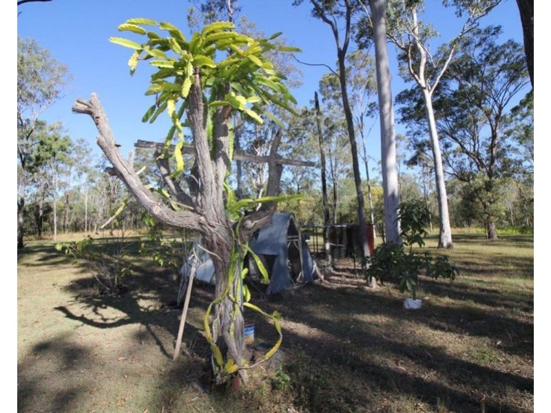 123 Taunton Road, Euleilah QLD 4674