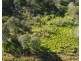123 Taunton Road, Euleilah QLD 4674