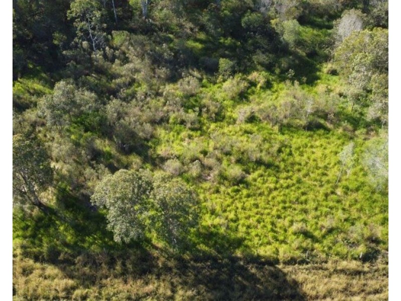 123 Taunton Road, Euleilah QLD 4674