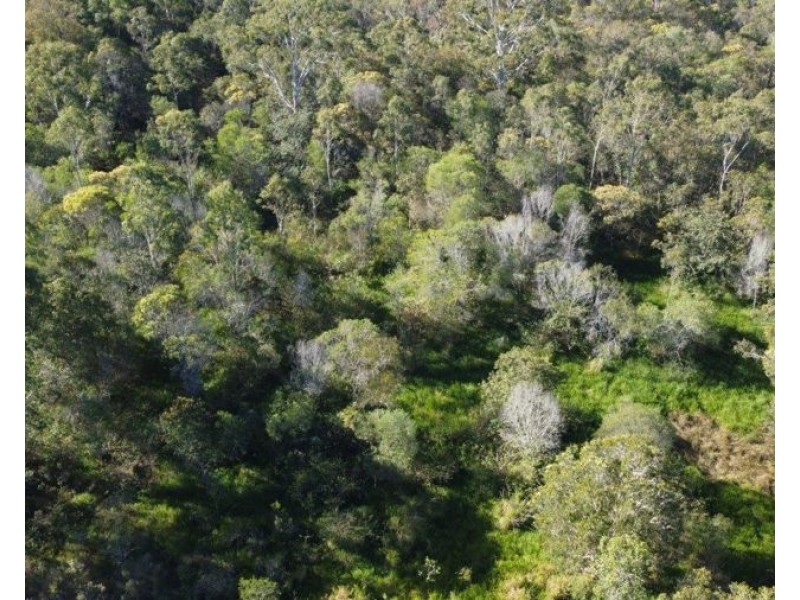 123 Taunton Road, Euleilah QLD 4674