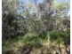 123 Taunton Road, Euleilah QLD 4674
