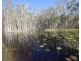 199 Matchbox Road, Deepwater QLD 4674
