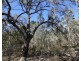 199 Matchbox Road, Deepwater QLD 4674