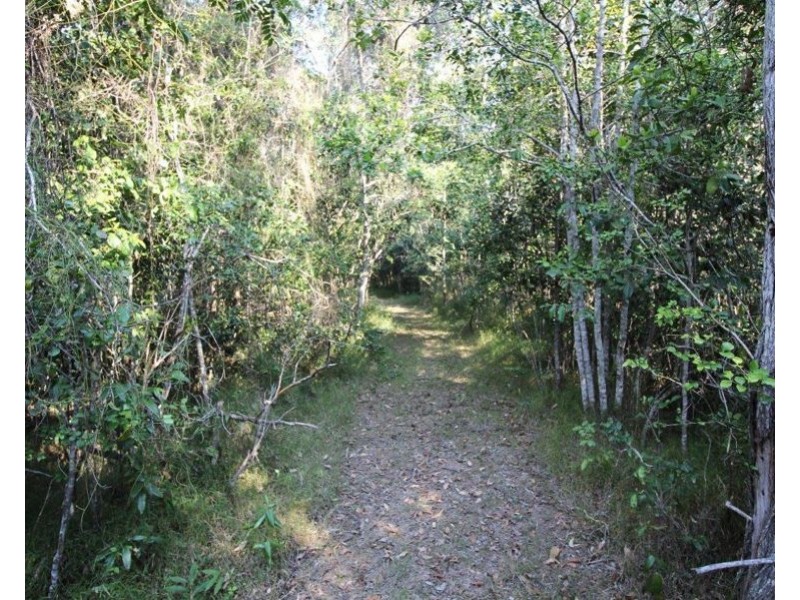 684 Taunton Road, Taunton QLD 4674