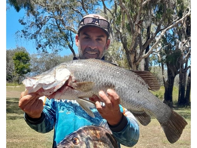 704 Fingerfield Road, Deepwater QLD 4674