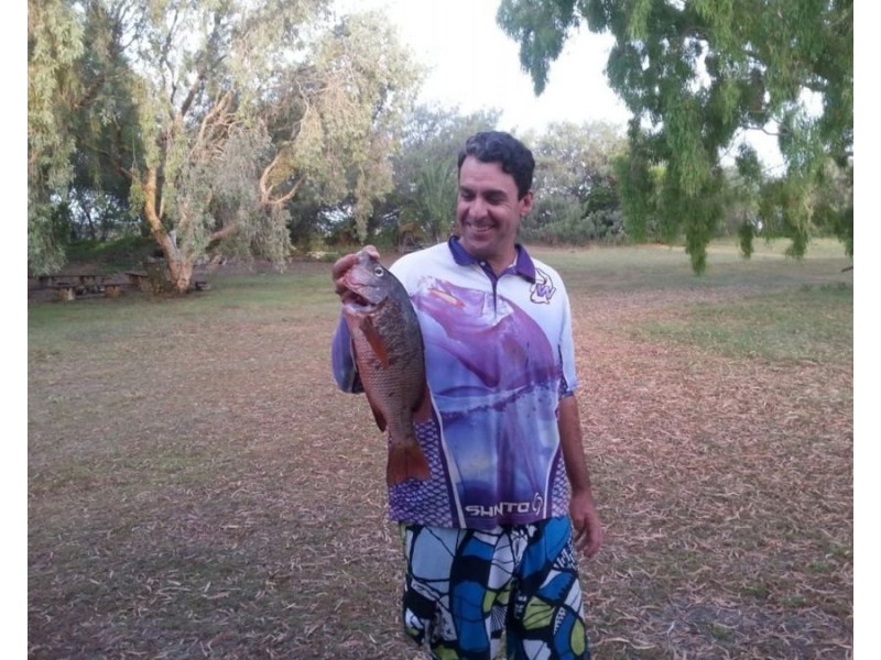 704 Fingerfield Road, Deepwater QLD 4674