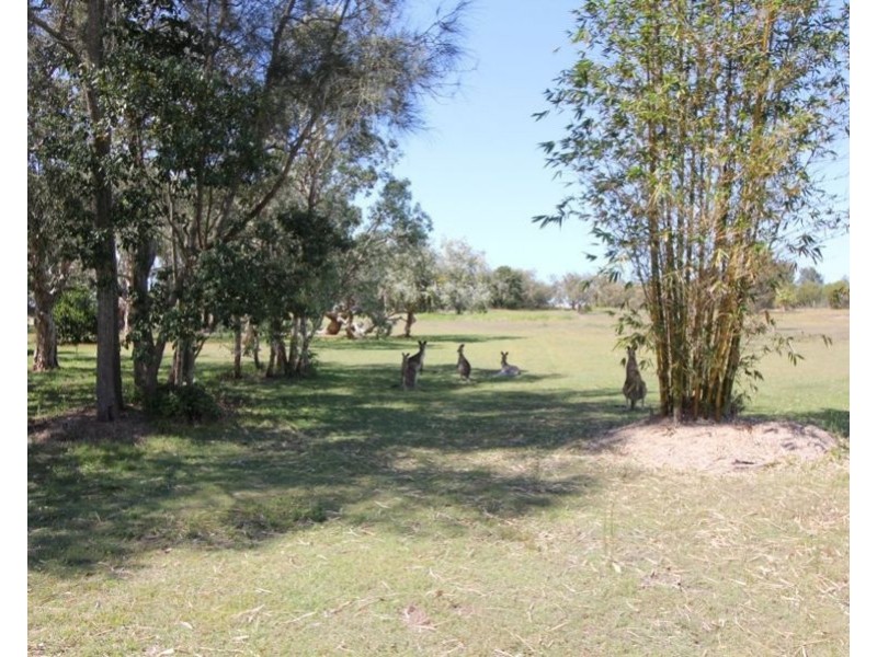 704 Fingerfield Road, Deepwater QLD 4674