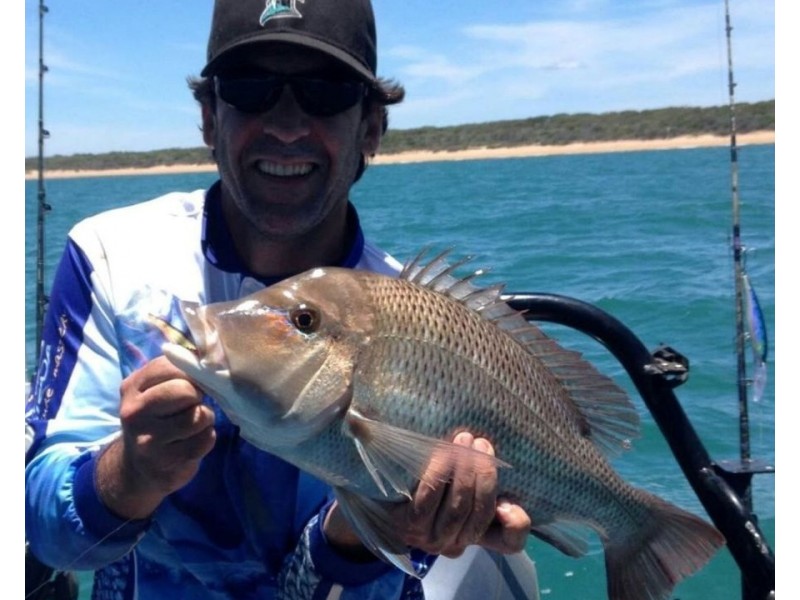 704 Fingerfield Road, Deepwater QLD 4674