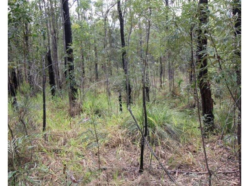 372 Mitchell Road, Mount Maria QLD 4674