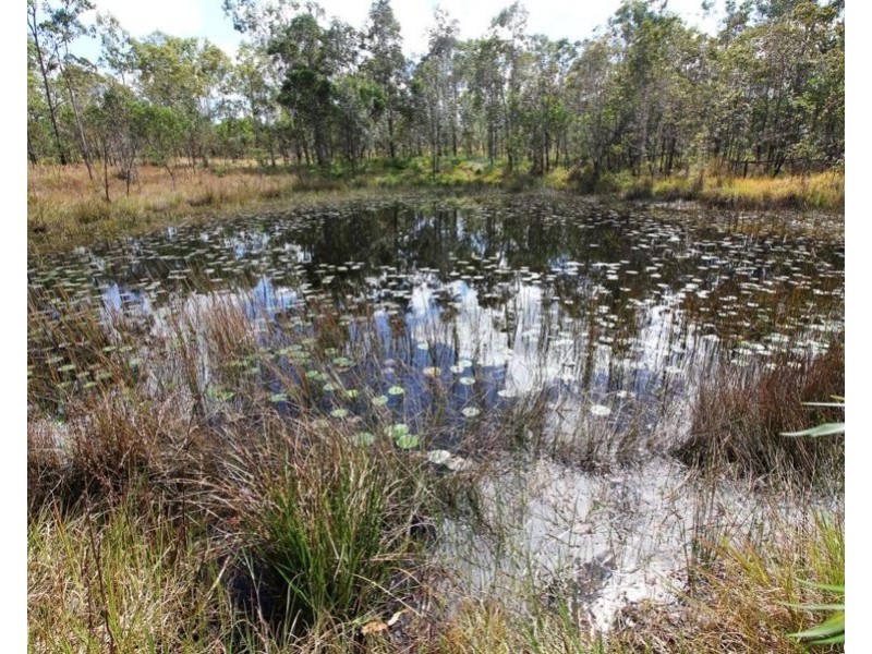 372 Mitchell Road, Mount Maria QLD 4674