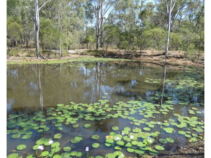 2048 Rosedale Road, Avondale QLD 4670