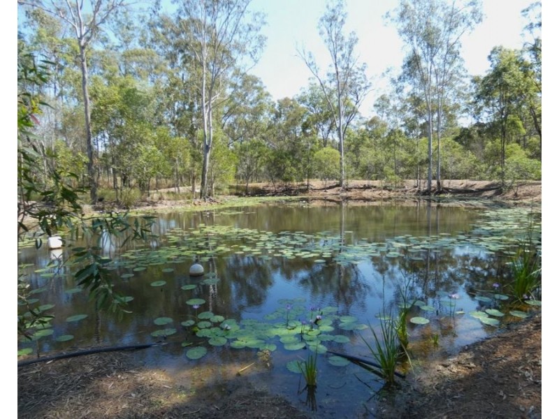 2048 Rosedale Road, Avondale QLD 4670