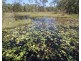 170 Bottle Creek Road, Rosedale QLD 4674