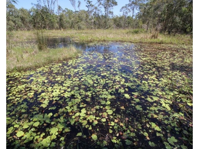170 Bottle Creek Road, Rosedale QLD 4674