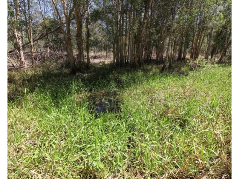 170 Bottle Creek Road, Rosedale QLD 4674