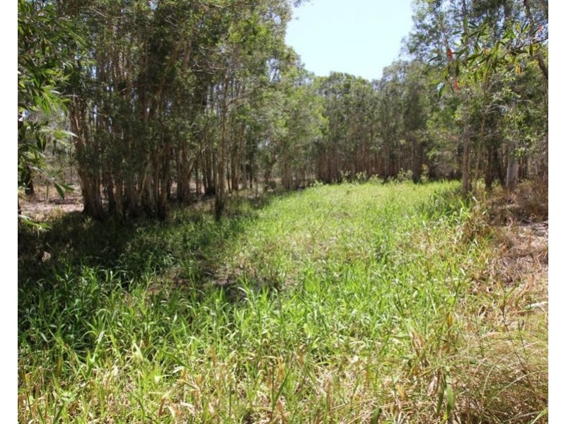 170 Bottle Creek Road, Rosedale QLD 4674