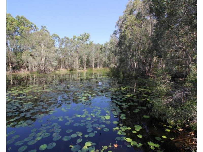 876 Pacific Drive, Deepwater QLD 4674