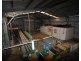 876 Pacific Drive, Deepwater QLD 4674