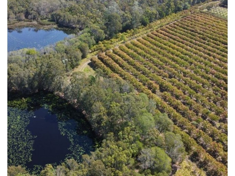 876 Pacific Drive, Deepwater QLD 4674