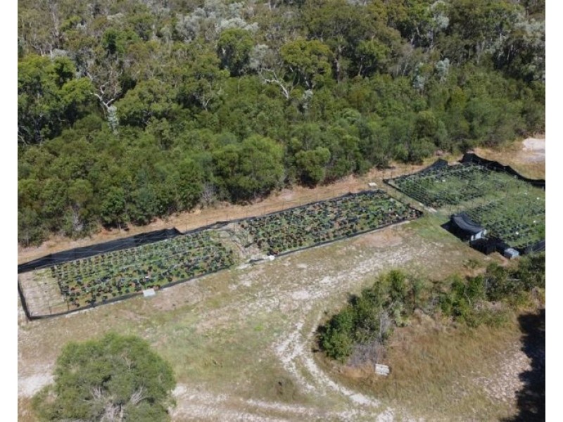 876 Pacific Drive, Deepwater QLD 4674