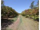 876 Pacific Drive, Deepwater QLD 4674