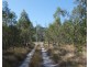 641 Capricornia Drive, Deepwater QLD 4674