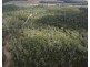 Lot 10 Tableland Road, Mount Maria QLD 4674
