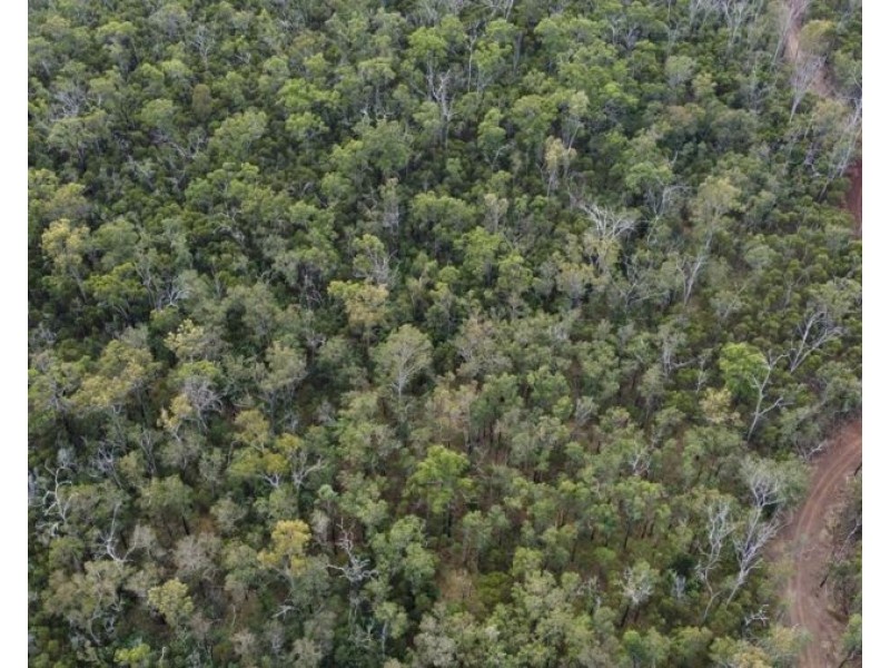 Lot 10 Tableland Road, Mount Maria QLD 4674