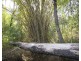 Lot 10 Tableland Road, Mount Maria QLD 4674