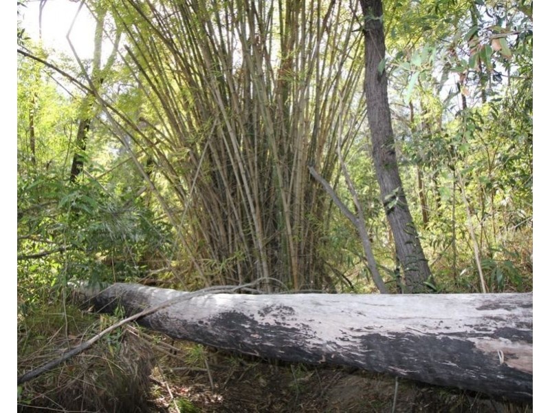 Lot 10 Tableland Road, Mount Maria QLD 4674