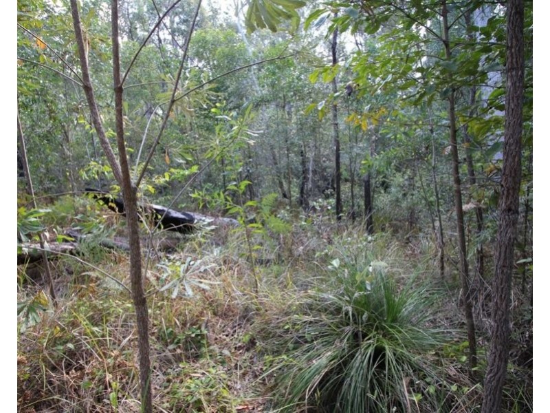 Lot 10 Tableland Road, Mount Maria QLD 4674