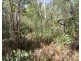 Lot 10 Tableland Road, Mount Maria QLD 4674