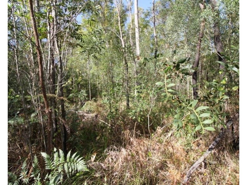 Lot 10 Tableland Road, Mount Maria QLD 4674