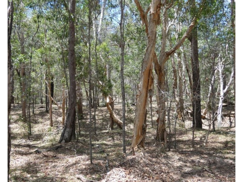 535 Winfield Road, Watalgan QLD 4670
