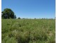 Lot 16 Hinrichs Road, Rosedale QLD 4674