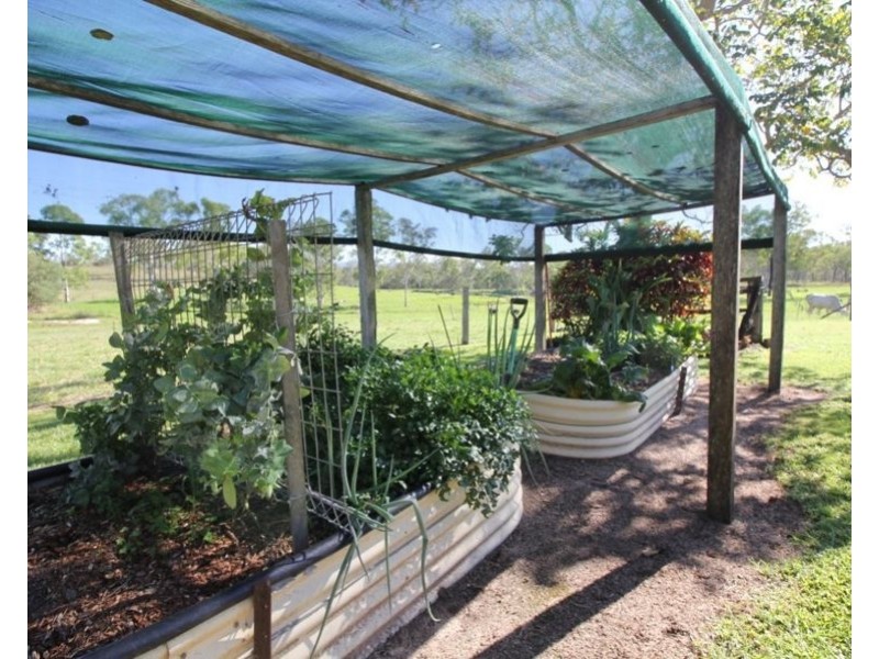 4280 Lowmead Road, Berajondo QLD 4674