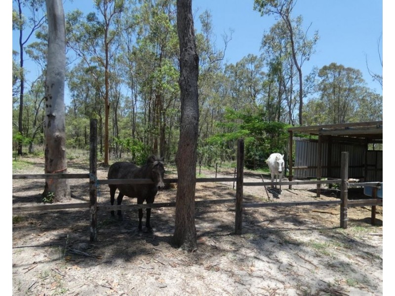 430 Blackmans Gap Road, Colosseum QLD 4677