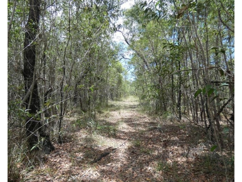 668 Matchbox Road, Deepwater QLD 4674