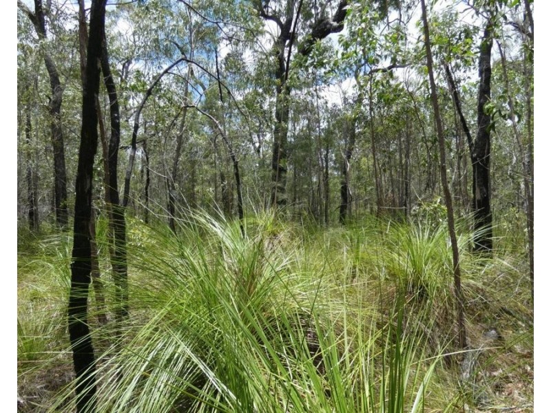 668 Matchbox Road, Deepwater QLD 4674