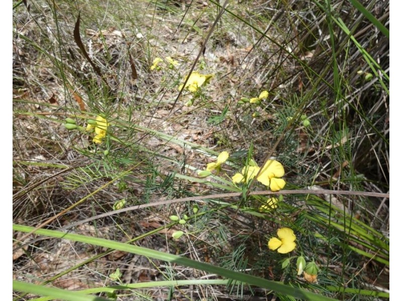 668 Matchbox Road, Deepwater QLD 4674