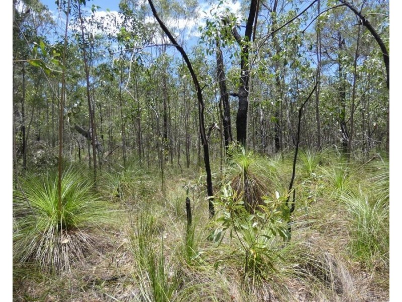 668 Matchbox Road, Deepwater QLD 4674