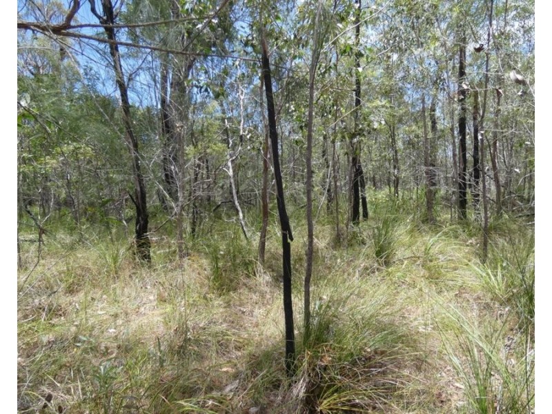 668 Matchbox Road, Deepwater QLD 4674