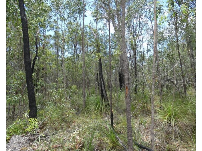 668 Matchbox Road, Deepwater QLD 4674