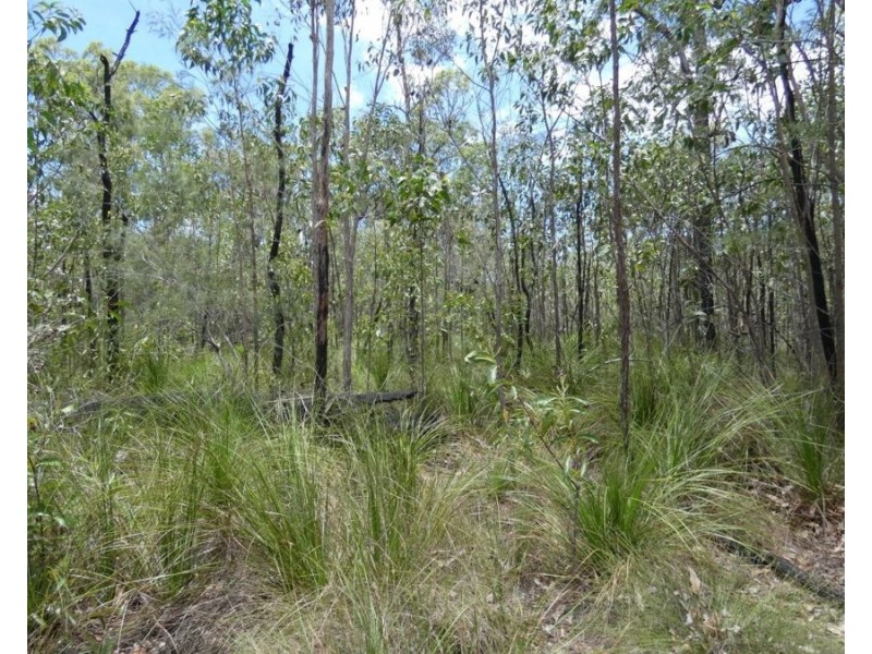 668 Matchbox Road, Deepwater QLD 4674