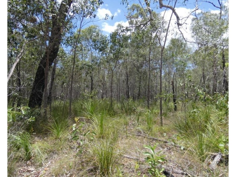 668 Matchbox Road, Deepwater QLD 4674