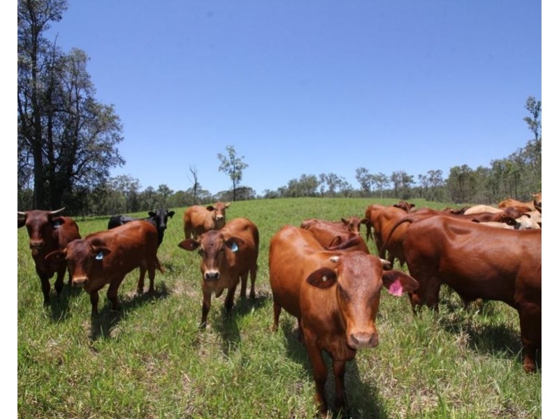 45 Sheahan Road, Berajondo QLD 4674