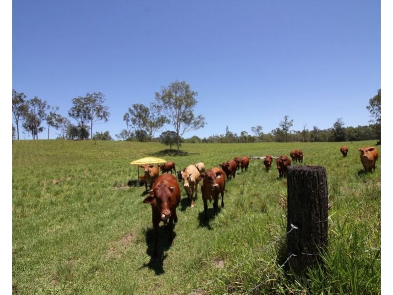 45 Sheahan Road, Berajondo QLD 4674