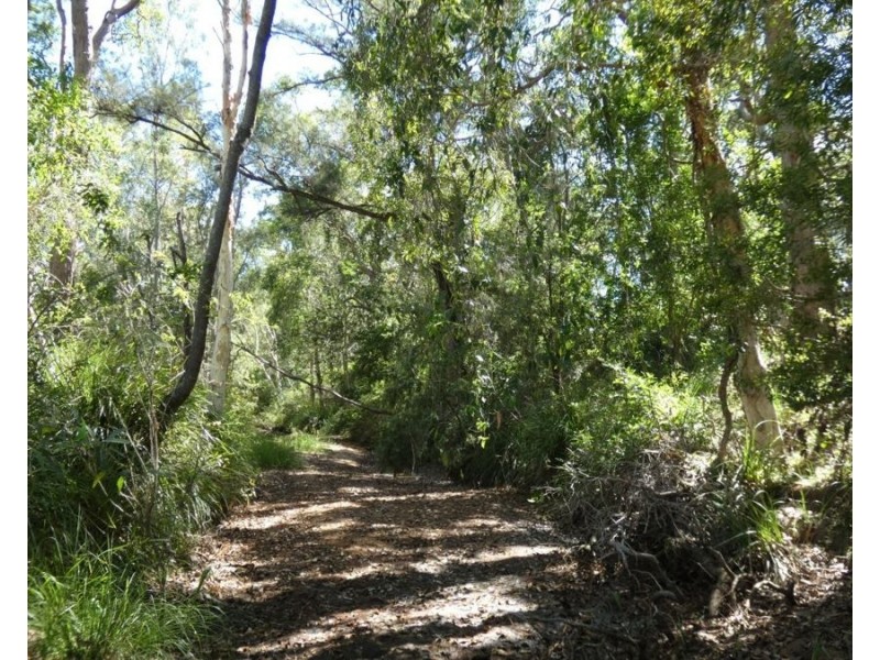 45 Sheahan Road, Berajondo QLD 4674