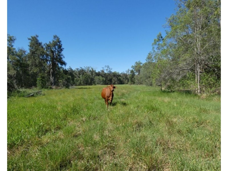 45 Sheahan Road, Berajondo QLD 4674