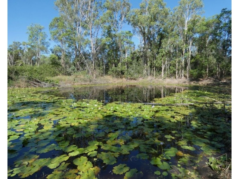 45 Sheahan Road, Berajondo QLD 4674